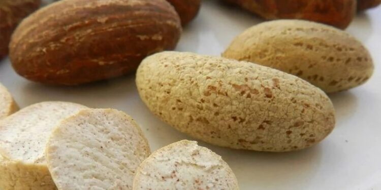 Some incredible health benefits of bitter kola