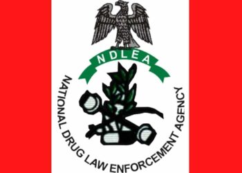 NDLEA opens why marijuana use is criminalized in Nigeria unlike Canada, UK and US