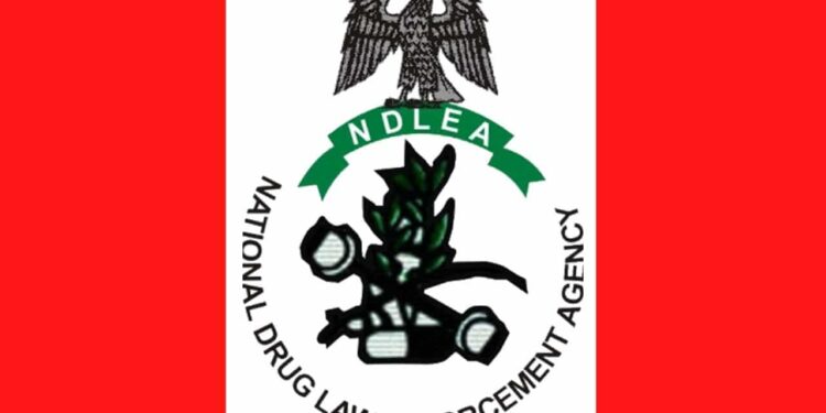 NDLEA opens why marijuana use is criminalized in Nigeria unlike Canada, UK and US