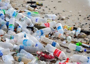 Ivory Coast citizens lead fight against plastic pollution