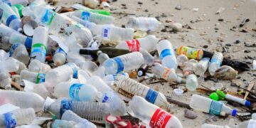 Ivory Coast citizens lead fight against plastic pollution