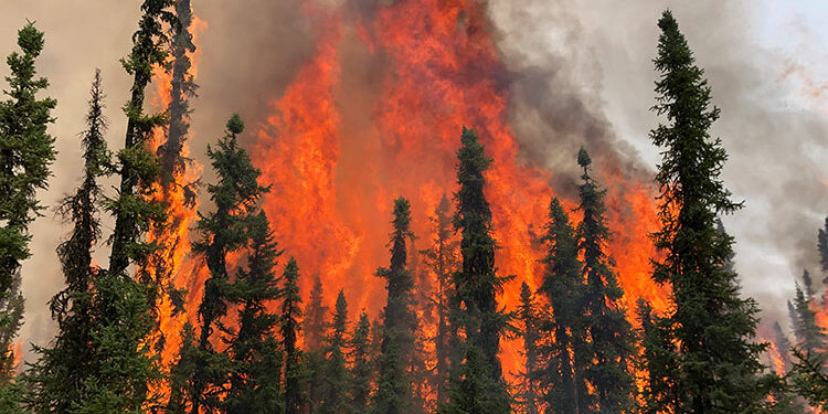 Canada’s wildfires smoke reaches Western Europe