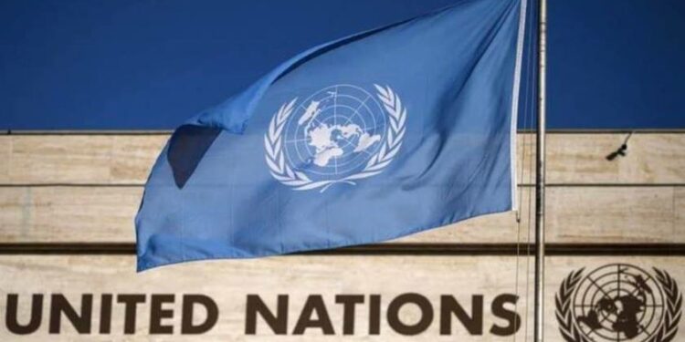 UN suspends humanitarian operations in Niger over coup