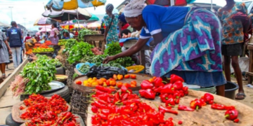 Nigeria and Burkina Faso to partner on food security