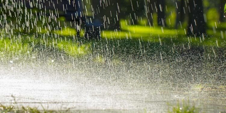 Daily rainfall likely this week in Brampton and Mississauga