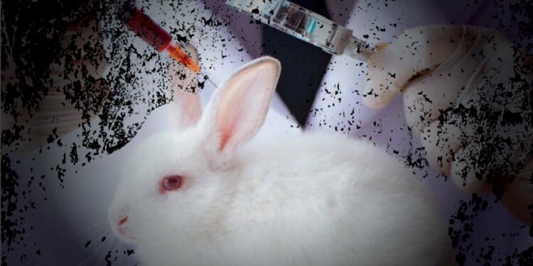 Canada to ban testing cosmetics on animals