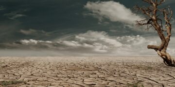 The Invaluable Significance of Protecting Our Environment at All Costs