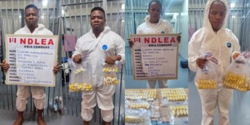 Bizarre: ‘Couple’ excretes 184 wraps of cocaine