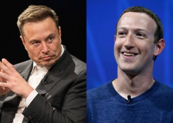 My fight with Zuckerberg to be live-streamed on X – Elon Musk