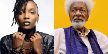 DJ Switch: I roasted Wole Soyinka during a panel discussion