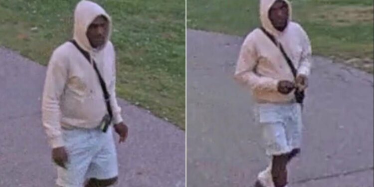 14-year-old girl reports sexual assault in a Brampton park