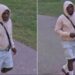 14-year-old girl reports sexual assault in a Brampton park