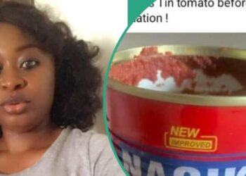 Nigerian Woman Nabbed For Criticising Tomato Paste, FCCPC Summons Company