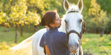The Business of Horse Ownership: Pros, Cons, and Keys to Profitability
