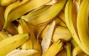 Ugandan Startup Transforms Banana Waste into Valuable Fibers