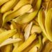 Ugandan Startup Transforms Banana Waste into Valuable Fibers