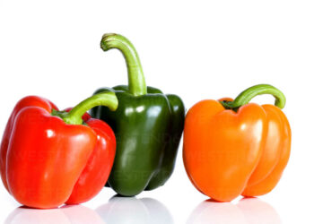 Comparing the Nutritional Values of Red, Green, and Yellow Bell Peppers