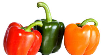 Comparing the Nutritional Values of Red, Green, and Yellow Bell Peppers