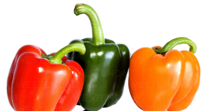 Comparing the Nutritional Values of Red, Green, and Yellow Bell Peppers