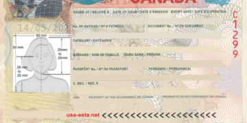 Petition for Visa-Free Travel: Ghanaian Citizen Appeals to UK and Canada High Commissions