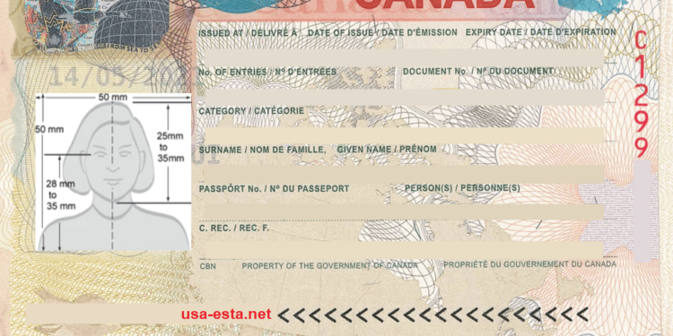 Petition for Visa-Free Travel: Ghanaian Citizen Appeals to UK and Canada High Commissions