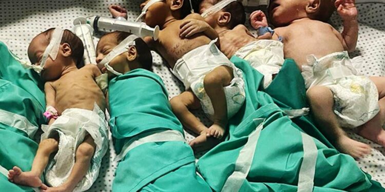 Premature babies suffer at Gaza’s largest hospital as Doctors wrap them up and place them next to hot water to keep them alive