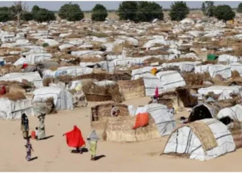 Benue IDP Camps Hit By Sexual Violence Against Children