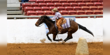 Alberta Girl Secures World Title in Extreme Cowboy Racing