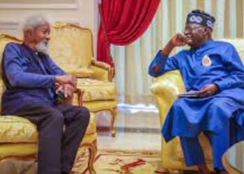 Soyinka: I advised Tinubu not to run for president