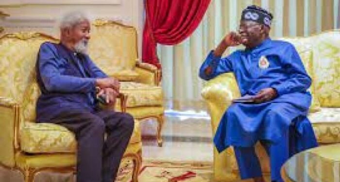 Soyinka: I advised Tinubu not to run for president