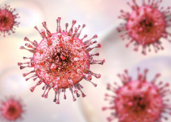 What is cytomegalovirus and what should you know about it?