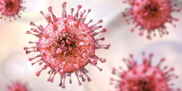 What is cytomegalovirus and what should you know about it?