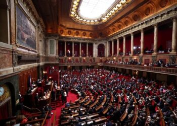 France Makes Abortion Constitutional First