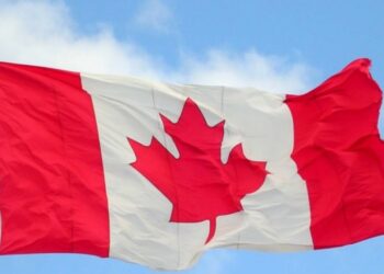Petition Calls for Extension of Work Permit for Foreign Graduates in Canada