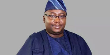 Minister of Power slams Nigerians for wasting power by ‘leaving freezers on’
